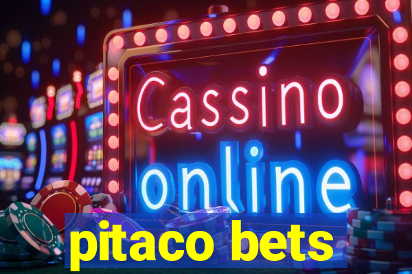 pitaco bets